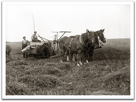 A binder with a 3-horse team.