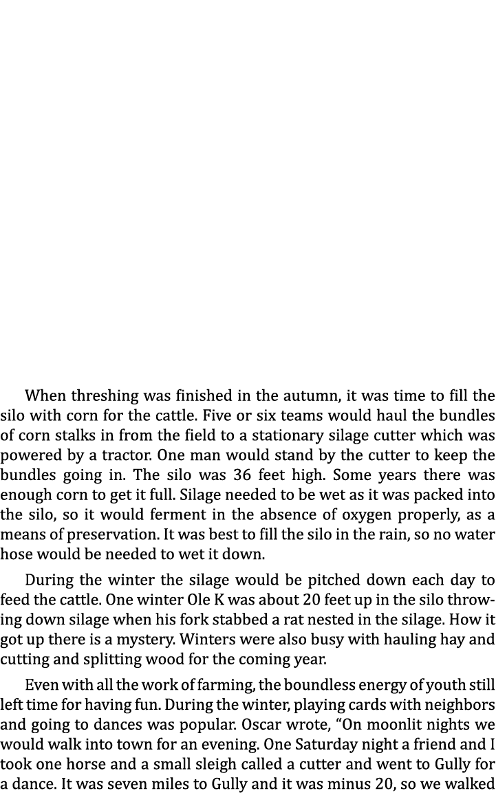 When threshing was finished in the autumn, it was time to fill the silo with corn for the cattle. Five or six teams w...