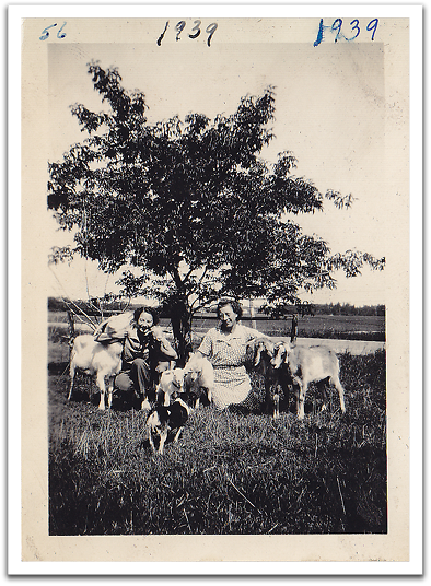 Leona & Maggie Reitter with their nanny goats in 1939.