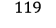 119