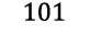 101