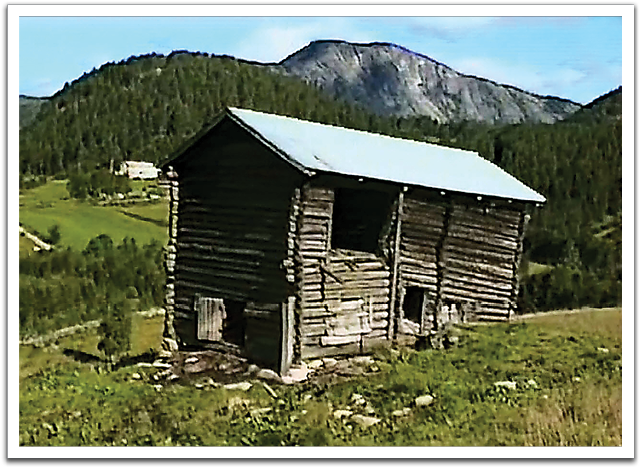 Remains of the barn on Vodden farm, very likely the same barn in which Ole K Flateland worked as a young man  in the 1870s and ‘80s before emigrating to America. Photo is a screen grab from a video shot by Byron Flateland in 1988.