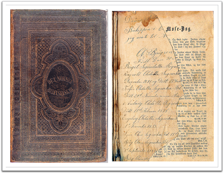 Anna Bjugsson Flateland's family Bible, cover & first page listing family members.