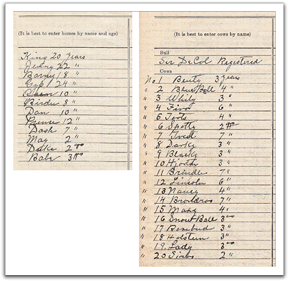Ole K had names for all of his horses and cows. Horses: King, Jenny, Barny, Gyls, Oscar, Birdie, Dan, Prince, Dash, May, Duke, Babe. Cows: Beuty, Blue Bell, Whity, Fivor, Toots, Spotty, Tveit, Darling, Blacky, Hjorten, Brindle, Lincoln, Nancy, Breitdros, Maxy, Snow Ball, Rosebud, Holsteen, Lady, Sirvo.