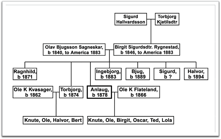 Family tree of Anlaug Bjugsson Sagneskar Flateland.