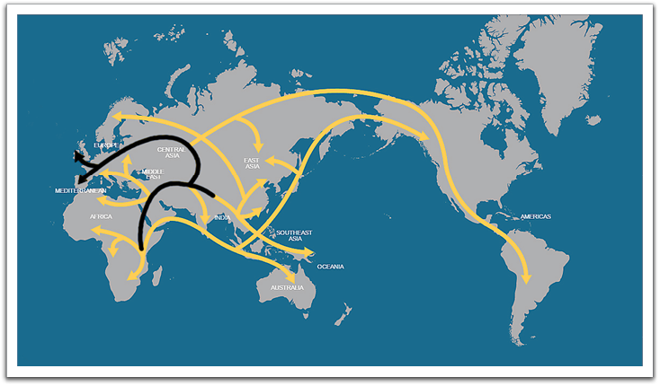 A summary of the major routes of human migration across the planet since people began leaving their African origins some 65,000 years ago. From the National Geographic Genographic Project.