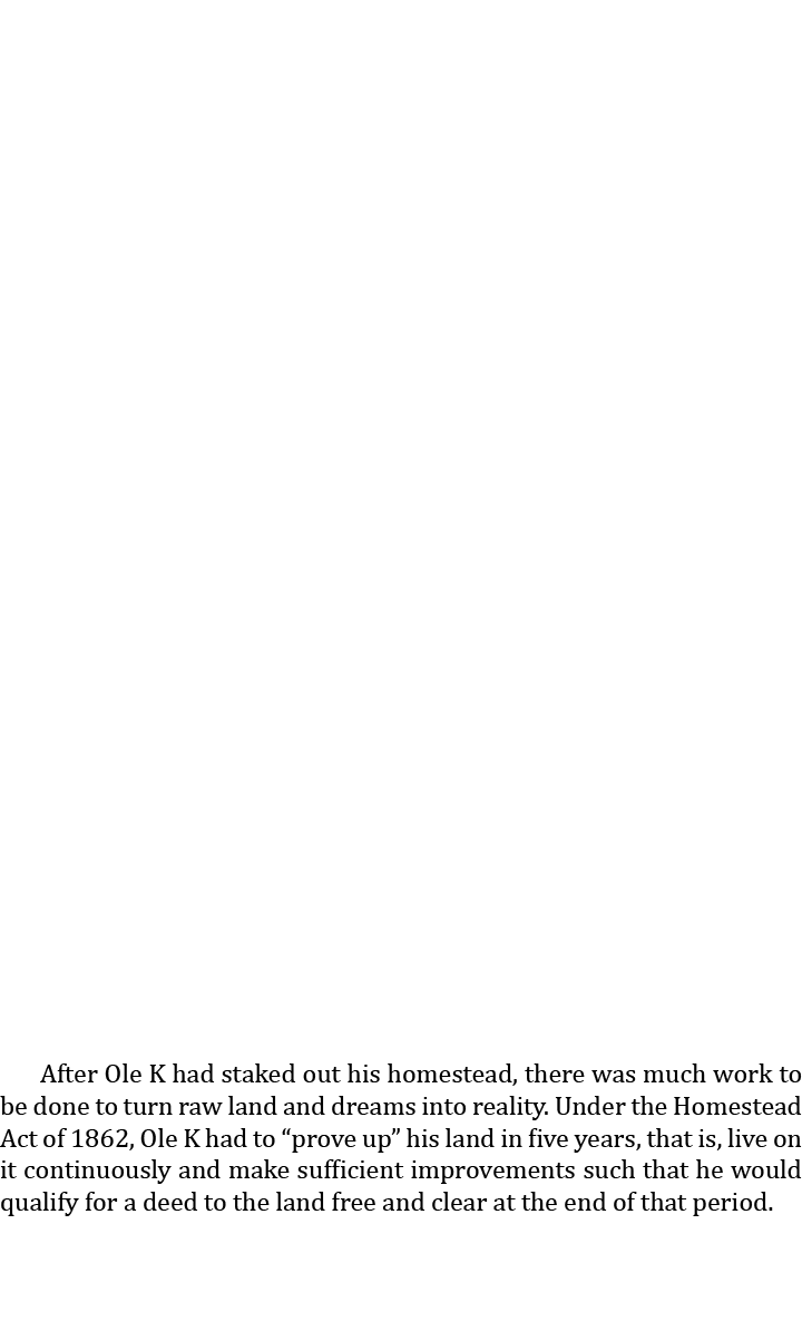  After Ole K had staked out his homestead, there was much work to be done to turn raw land and dreams into reality. U...