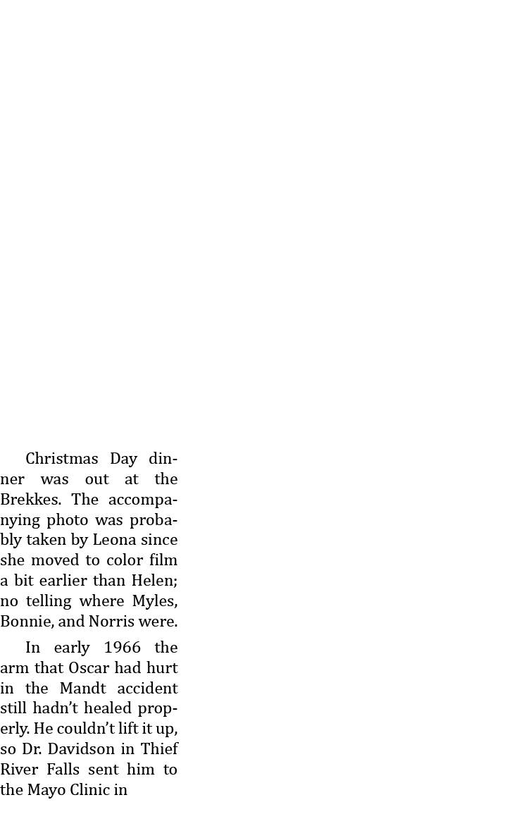  Christmas Day dinner was out at the Brekkes. The accompanying photo was probably taken by Leona since she moved to c...