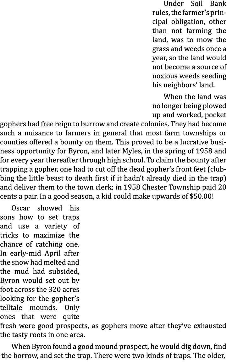 Under Soil Bank rules, the farmer’s principal obligation, other than not farming the land, was to mow the grass and w...