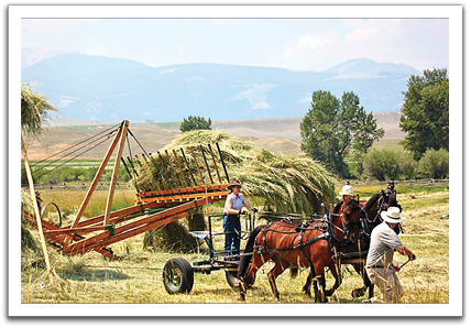 Overshoot haystacker in action.