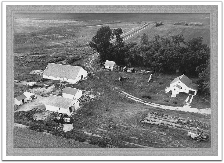 Oscar & Helen's farm buildings, about 1960, looking toward the southwest.  Nearest the top at the center under the biggest tree is the log house that Oscar’s uncle Svein had built when he homesteaded in 1896; Oscar used it as a shop. Oscar & Helen’s house is on the far right with the garden in front. On the left are two small brooder houses which had been used to raise chicks into pullets. The largest building on the left was the barn, the second largest a machine shed, and the smallest, in the middle, was a granary. Oscar had built all of these buildings, with some help, except for Svein’s log house.